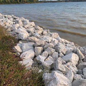 Meet your Posher, Manaswi